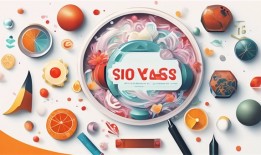 SEO优化的具体实现路径与策略