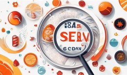 从百度搜索的‘风云榜’中汲取宝贵的SEO启示与策略指导